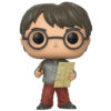 Funko POP! Vinyl Figure Harry Potter - 42