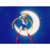 Bandai Spirits S.H. Figuarts Sailor Moon Animation Color Edition Tamashii Nations